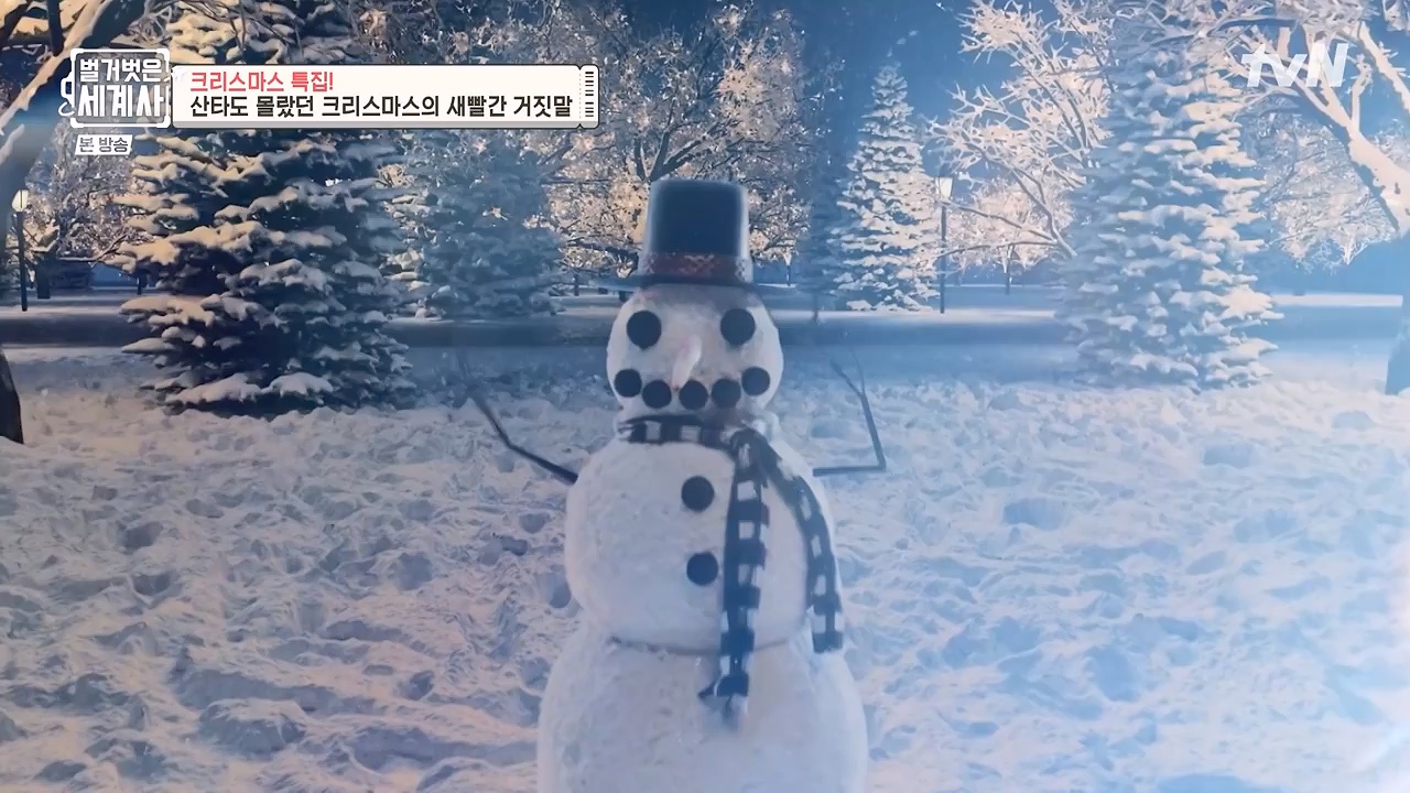 벌거벗은 세계사.E130.231220p-NEXT.mp4_20240623_180936.074.jpg