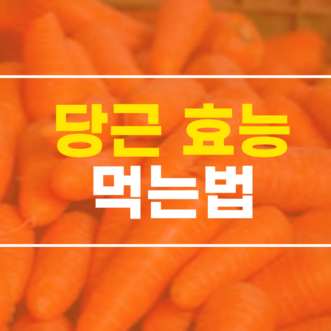  당근 효능 10가지 및 먹는 법