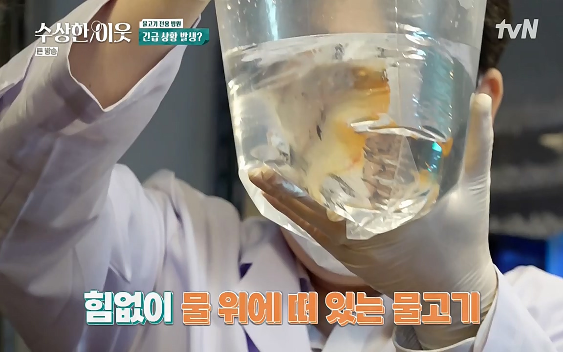 수상한 이웃.E04.220422p-NEXT.mp4_20220424_193442.493.jpg