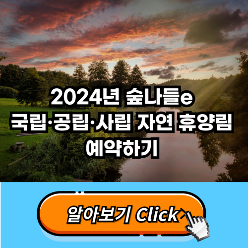  2024년 숲나들e 국립·공립·사립 자연 휴양림 예약하기