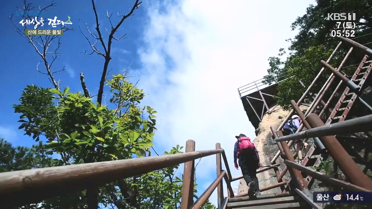 트레킹노트 세상을 걷다.E291.231008p-NEXT.mp4_20231007_172656.307.jpg