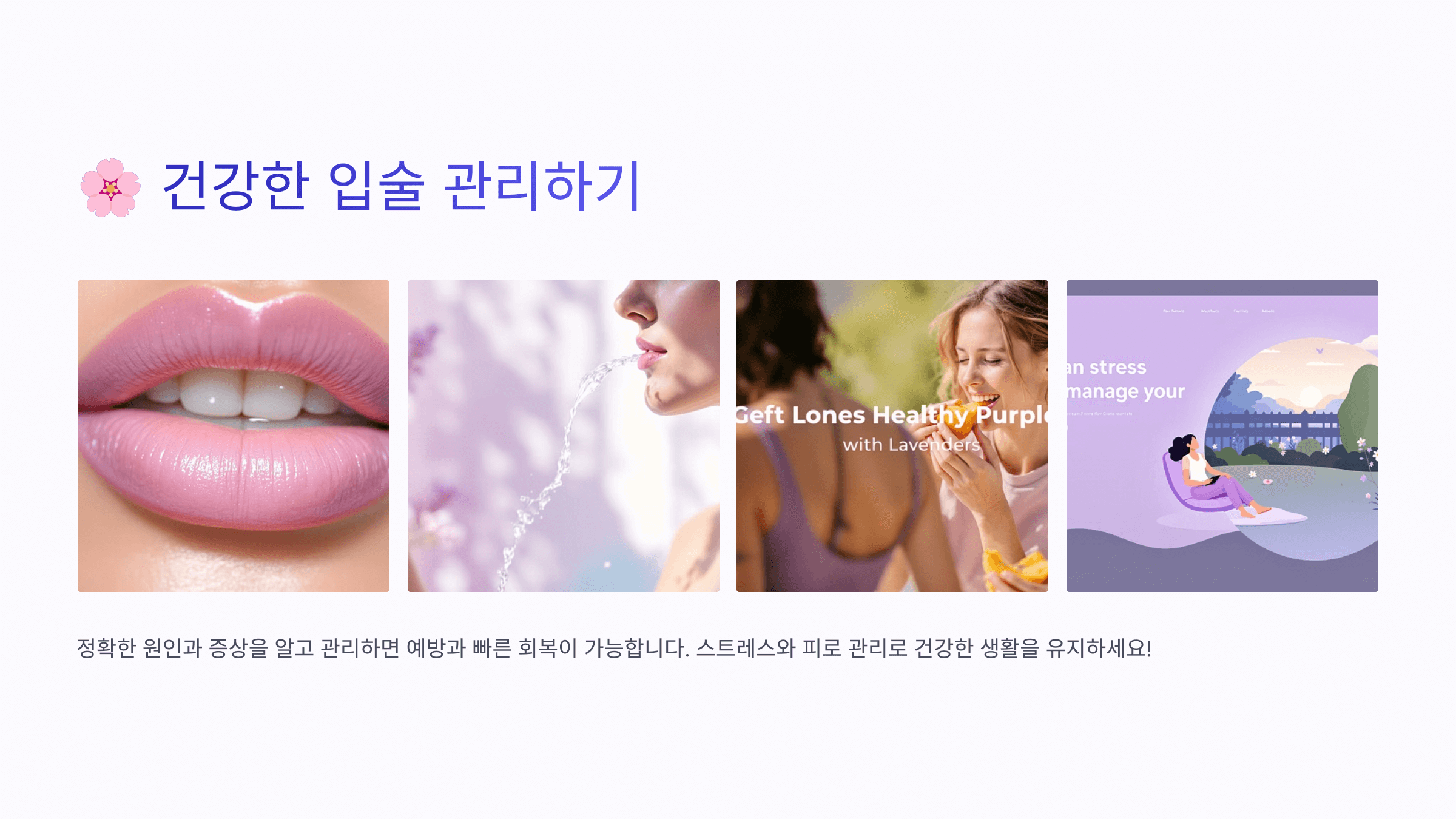 입술 사진입니다.