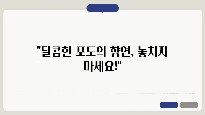 2024년 포도축제: 경남의 달콤한 포도로 가득한 가을