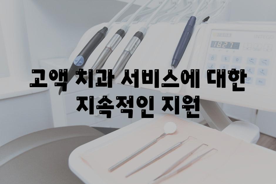 고액 치과 서비스에 대한 지속적인 지원