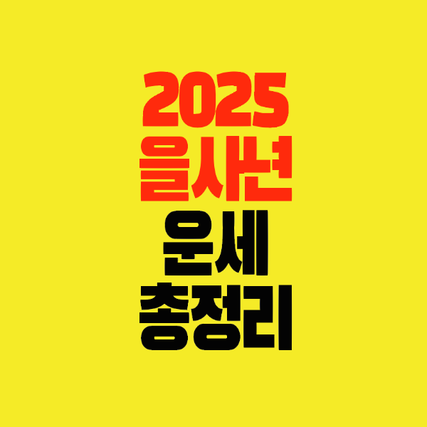 썸네일-2025-을사년-운세총정리