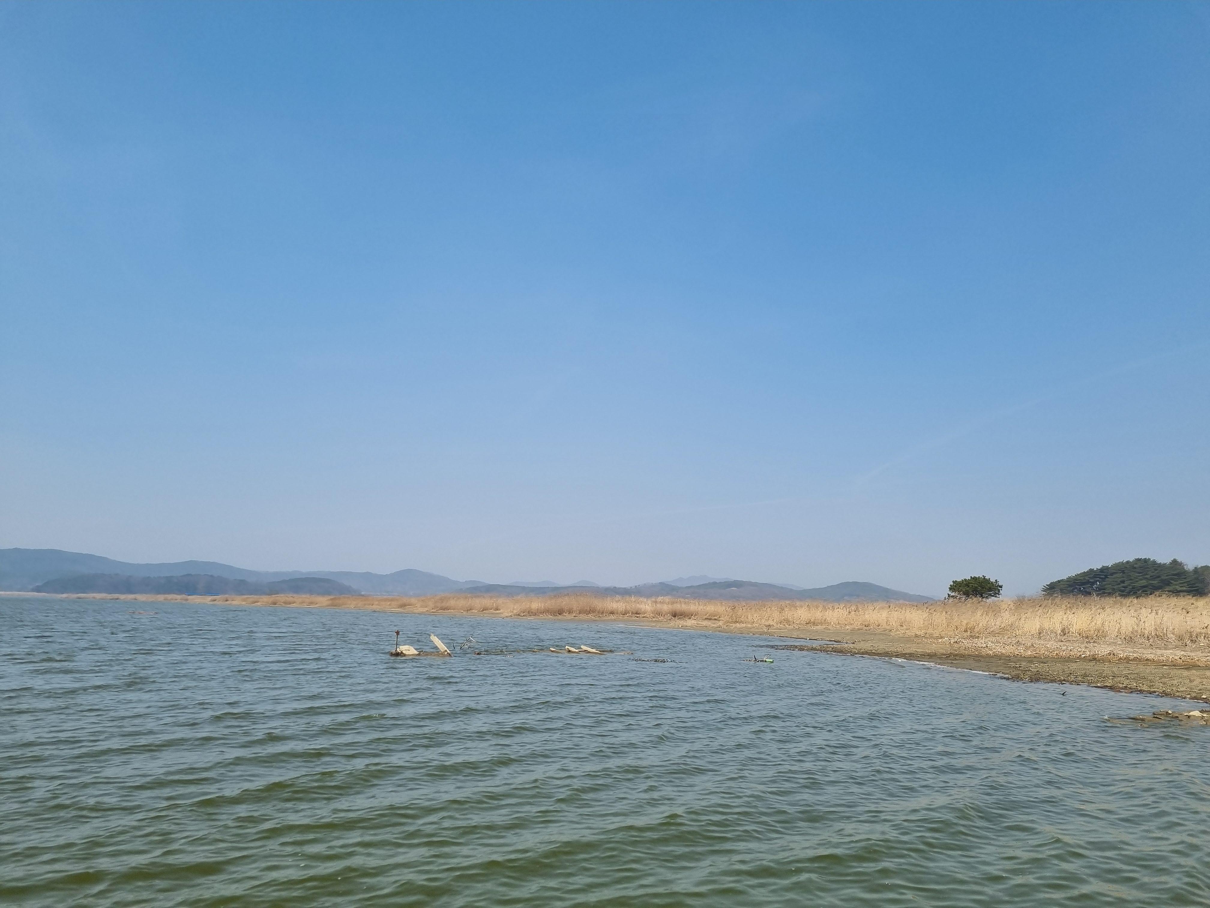 충남 보령 오천면 배스낚시 후기 빙도교+냉장고포인트