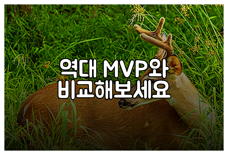 역대 MVP와 비교해보세요