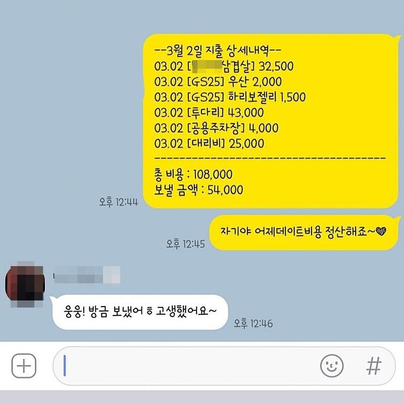 너무 깔끔한 20대 커플 데이트비용 근황.jpg