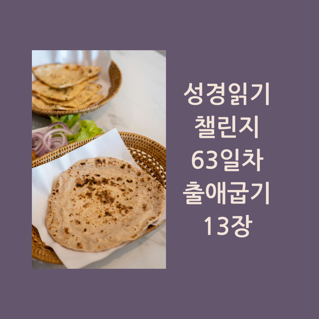 무교절
