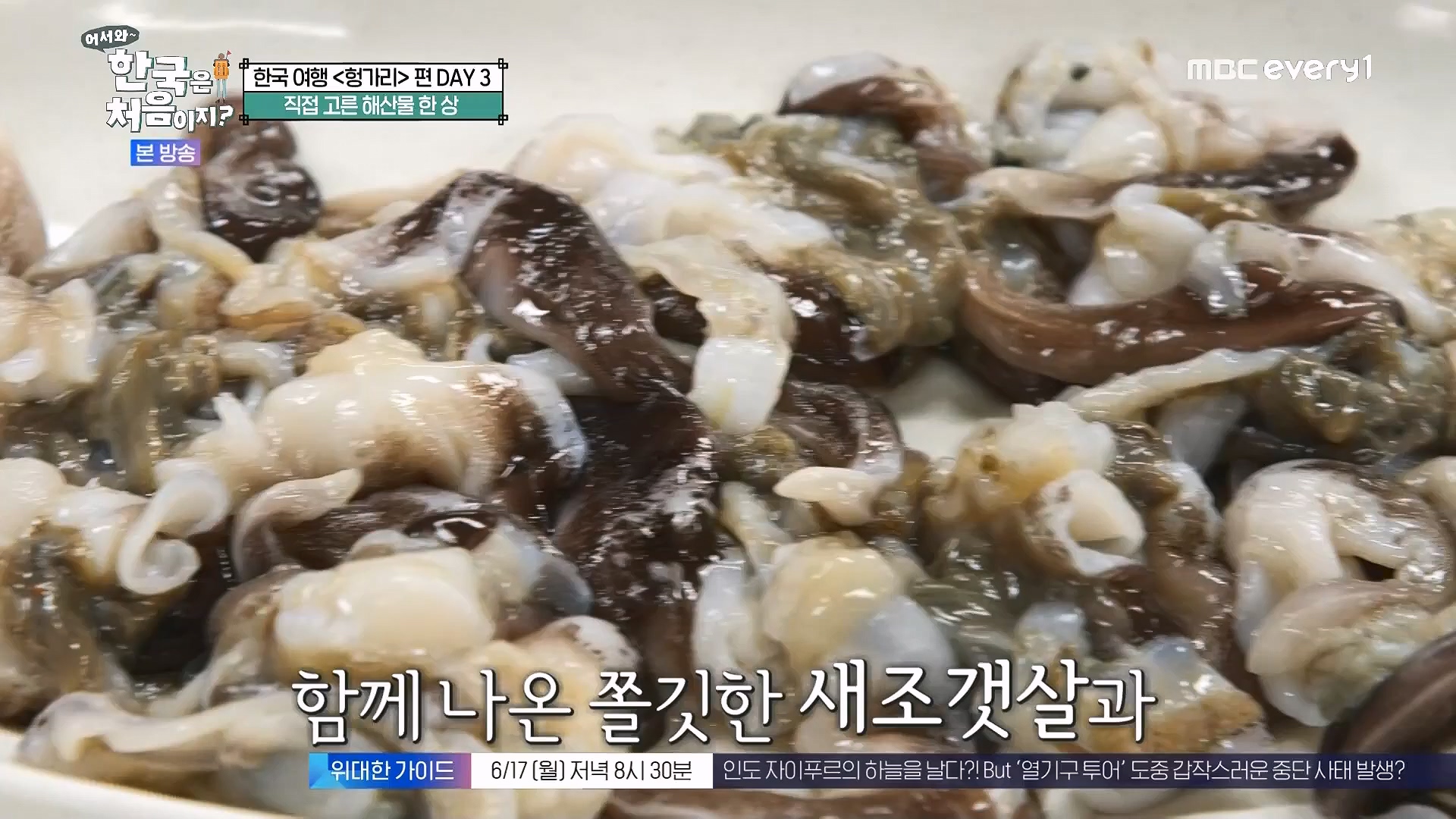 어서와 한국은 처음이지.E318.240613p.WANNA.mp4_20240615_163932.049.jpg