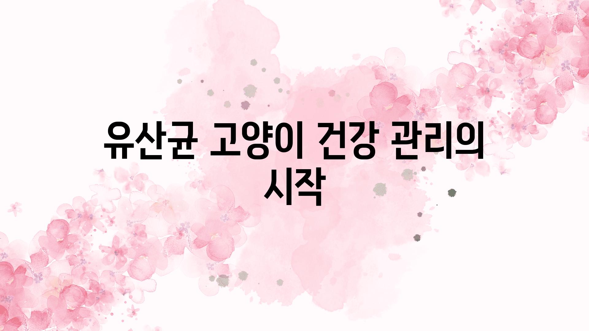 유산균 고양이 건강 관리의 시작