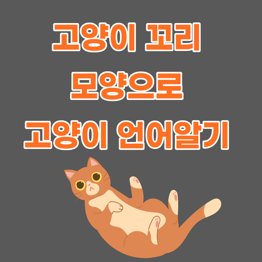 고양이 꼬리 모양