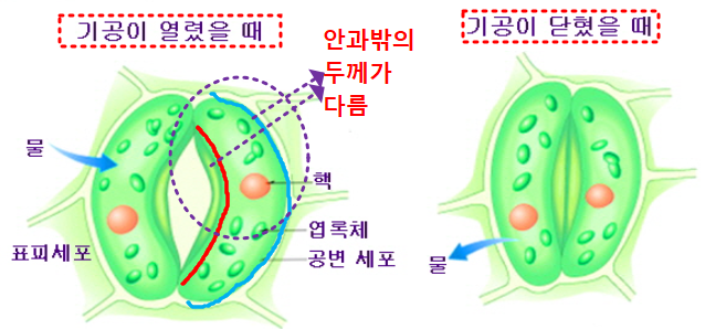 기공