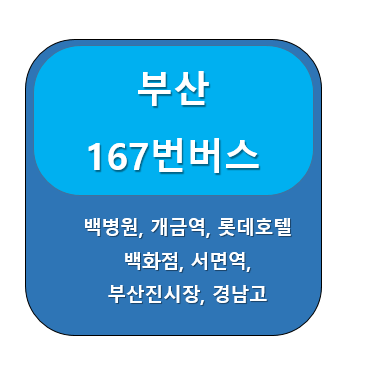 부산167번버스