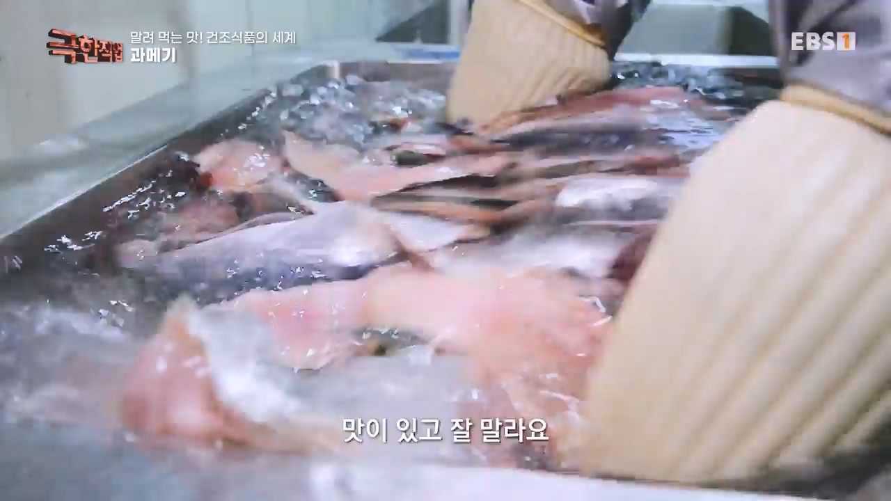 TV - 전 국민의 평생학교 EBS말려 먹는 맛! 건조식품의 세계.mp4_20231125_190720.755.jpg