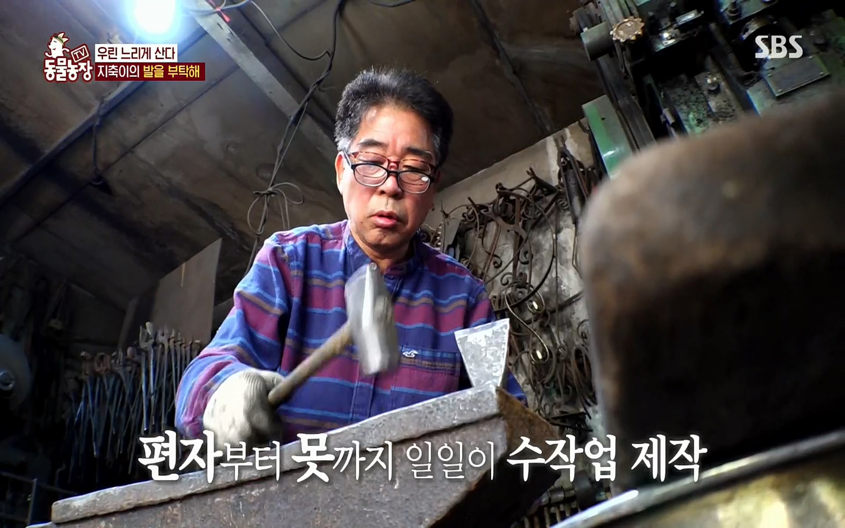 TV 동물농장.E1074.220619p.H264-F1RST.mp4_20220619_181840.124.jpg
