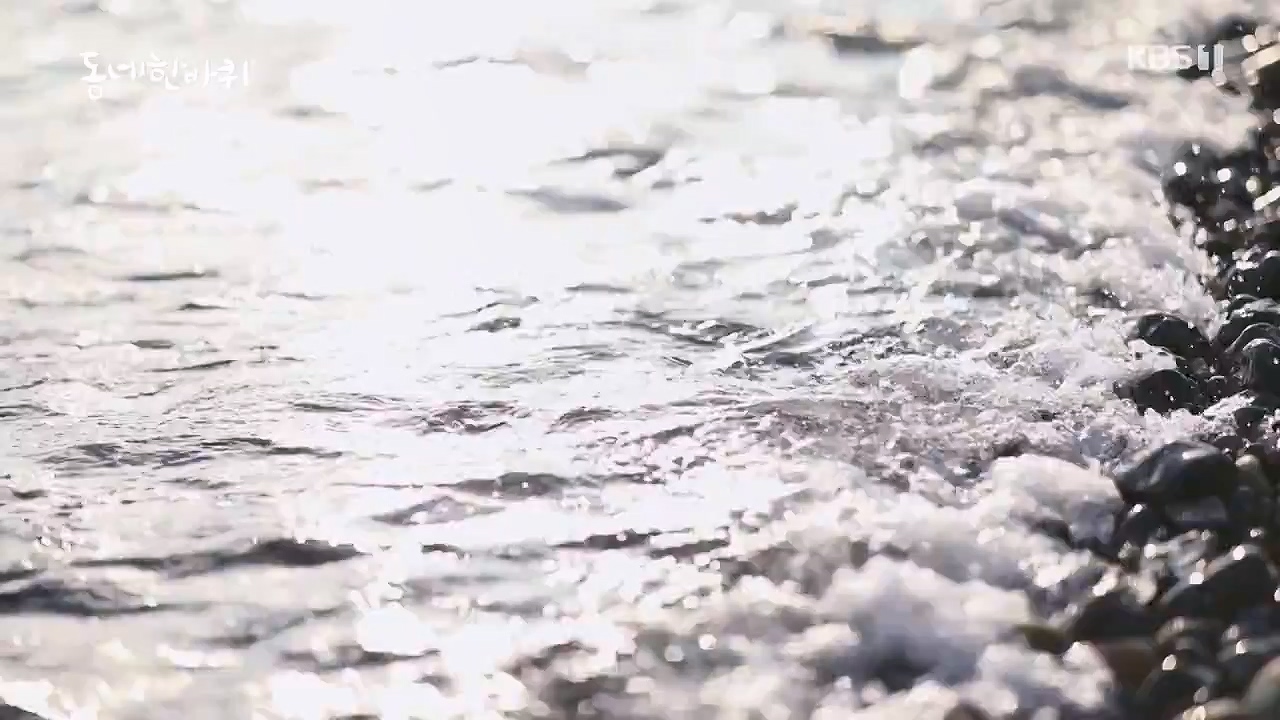 동네 한 바퀴.E278.240616p-NEXT.mp4_20240616_164330.376.jpg