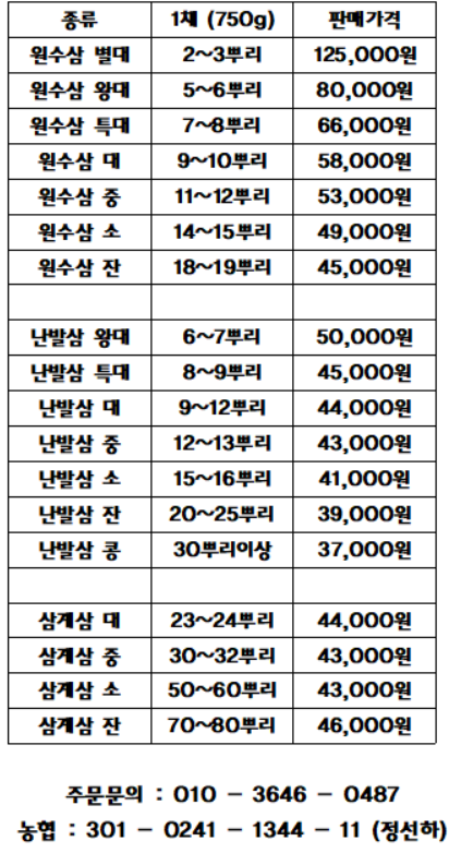 금산인삼 수삼 먹는 법 금산인삼도매센터 남발삼 특대 흙수삼 1조 750g(5~6개)