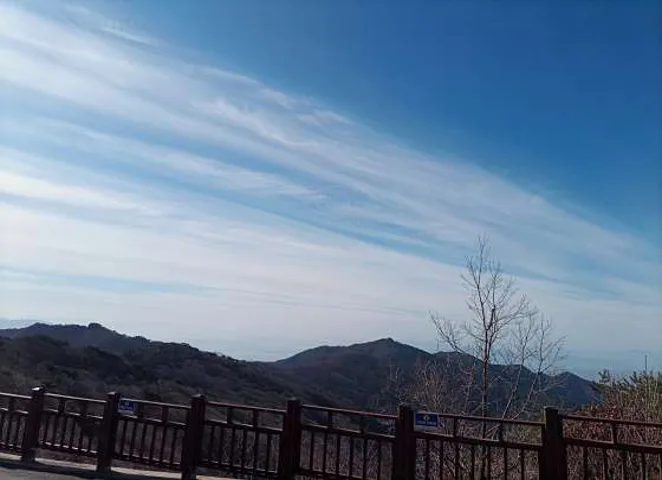 비슬산자연휴양림숲속캠핑장