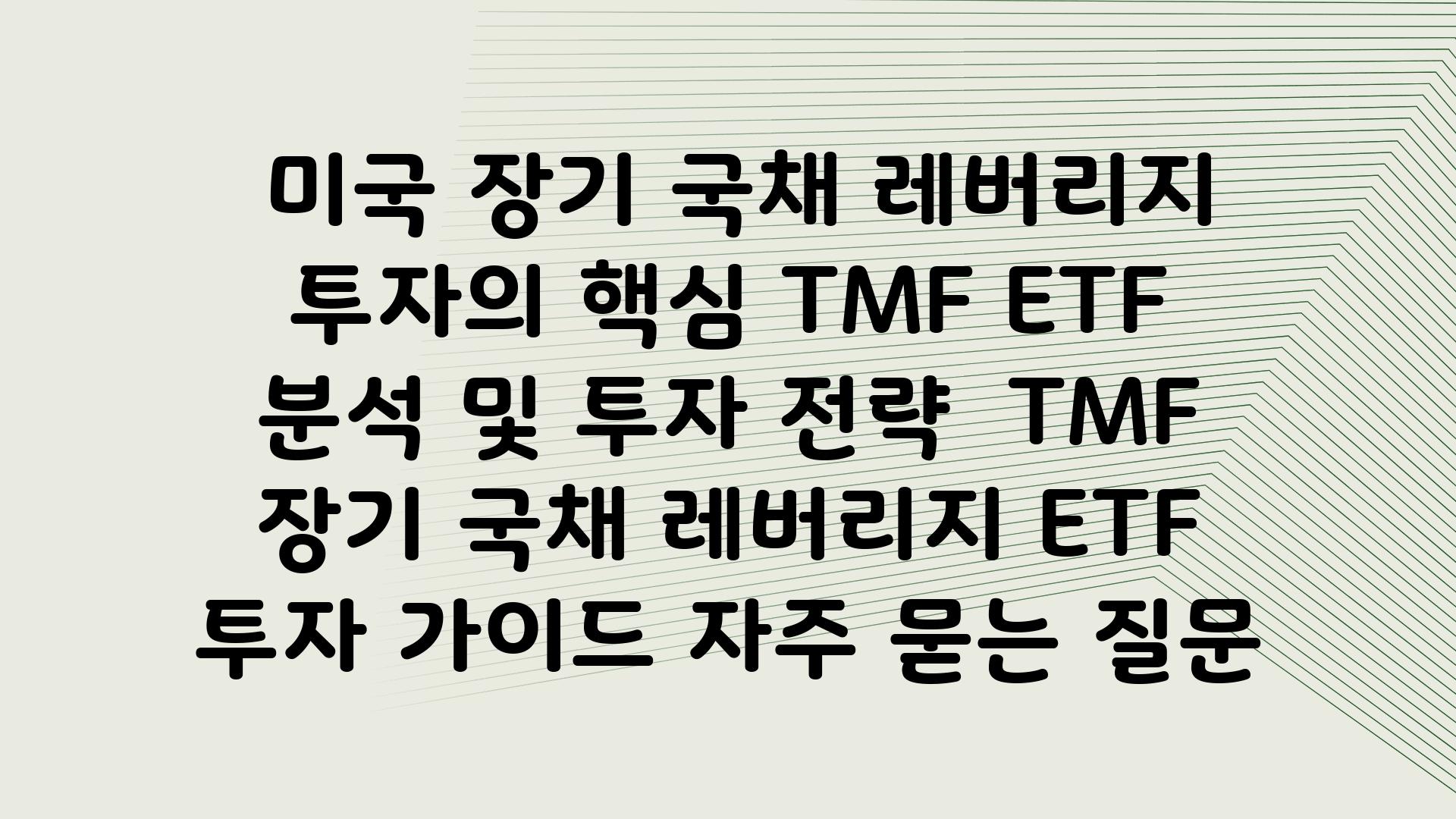  미국 장기 국채 레버리지 투자의 핵심 TMF ETF 분석 및 투자 전략  TMF 장기 국채 레버리지 ETF 투자 설명서 자주 묻는 질문
