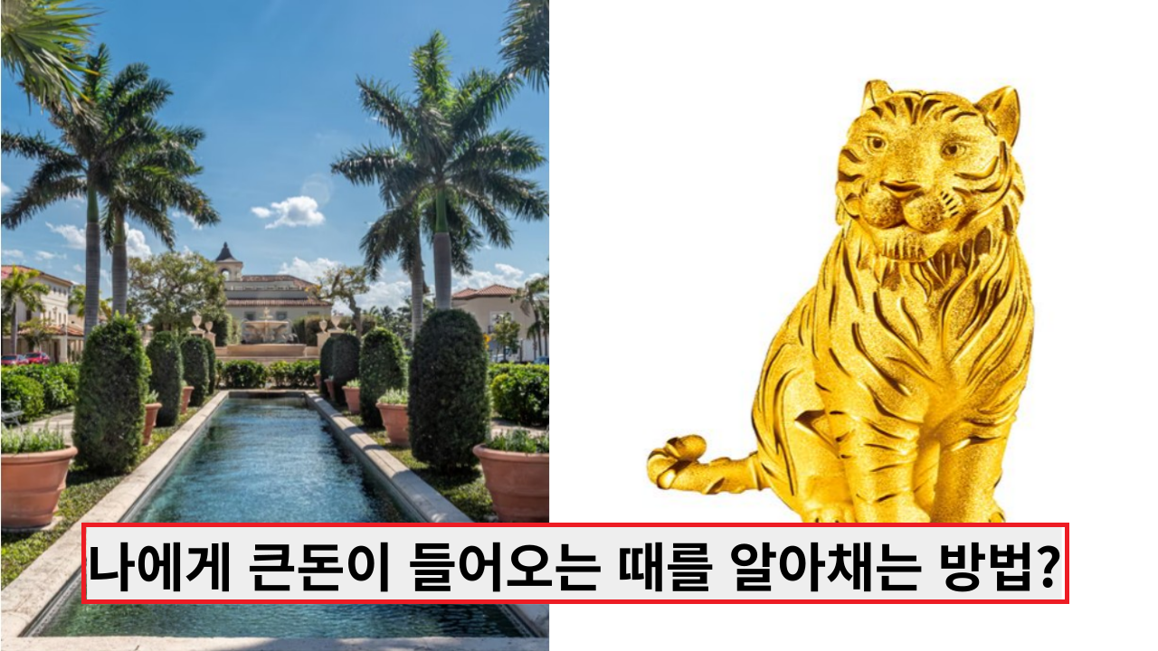  재물운이 터지는 시기, 나에게 큰돈이 들어오는 때를 알아채는 방법?