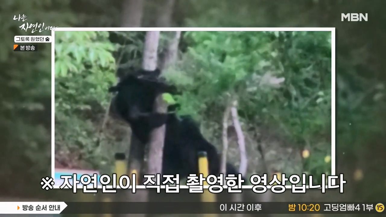 나는 자연인이다.E591.240132p-NEXT.mp4_20240201_193502.712.jpg