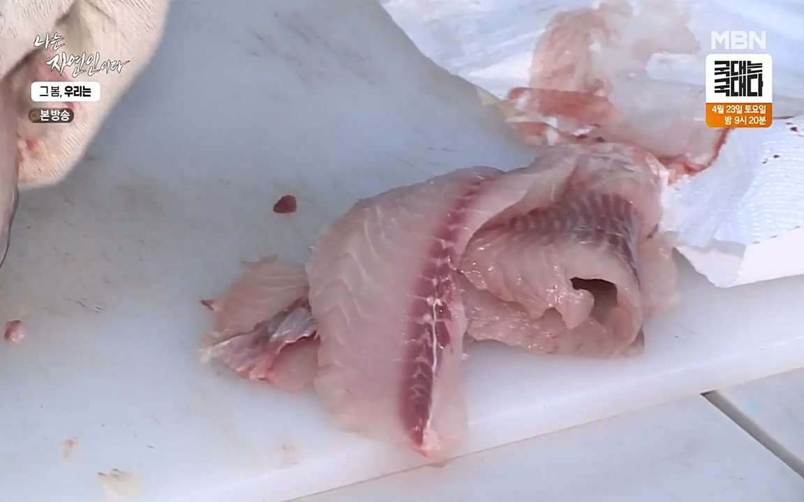 나는 자연인이다.E498.220421p-NEXT.mp4_20220421_184102.850.jpg