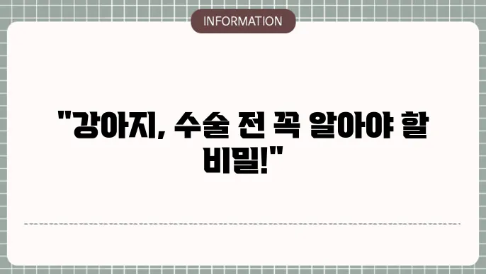강아지 중성화 수술 전 금식