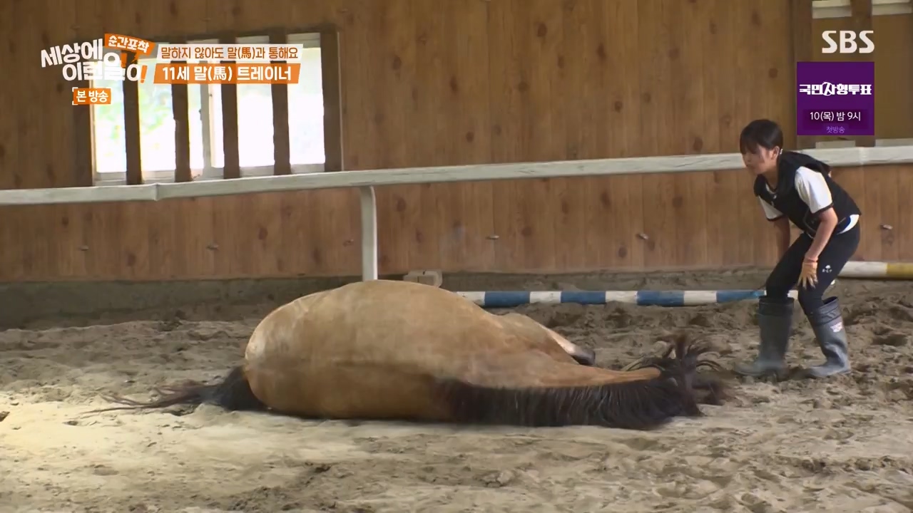 순간포착 세상에 이런일이.E1240.230806p-NEXT.mp4_20230806_161415.130.jpg