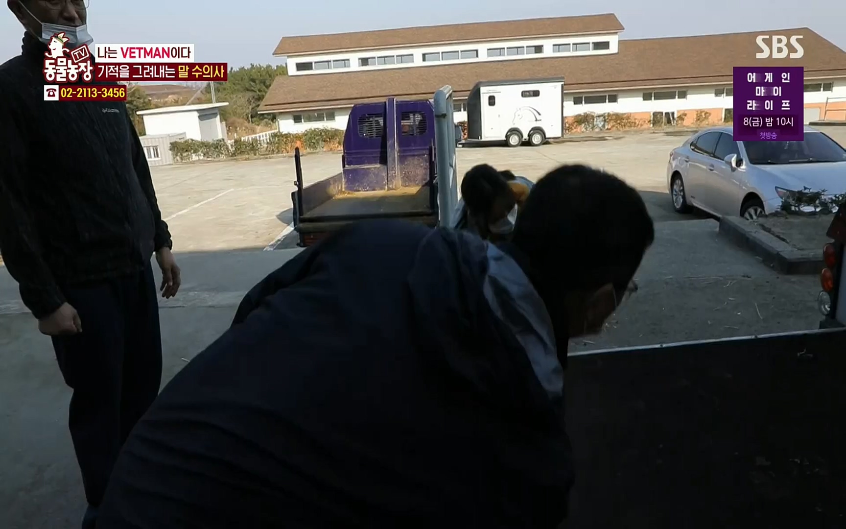 TV 동물농장.E1062.220327p.H264-F1RST.mp4_20220327_174503.750.jpg