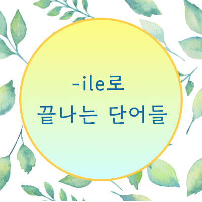  [블로그] 영어 단어가 < ile >로 끝나는 것들의 발음을 알아보자.