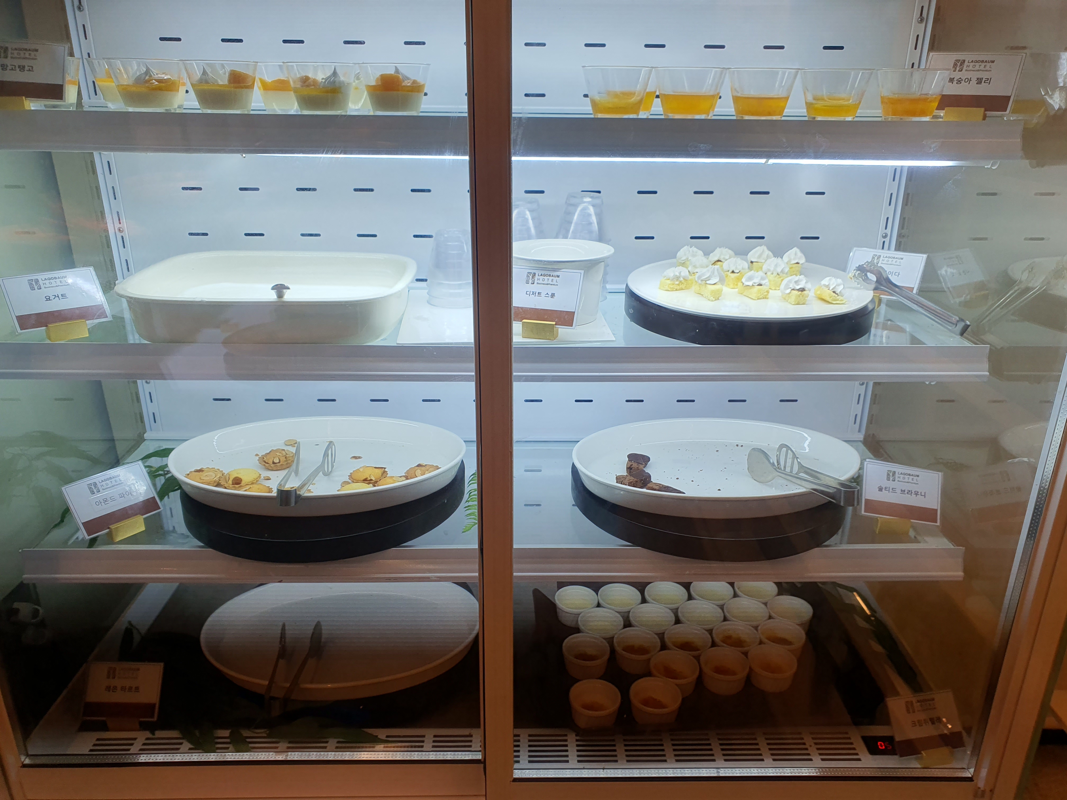 세종 라고바움호텔 서비스 주차 객실 정보 세종 호수공원 뷰 후기