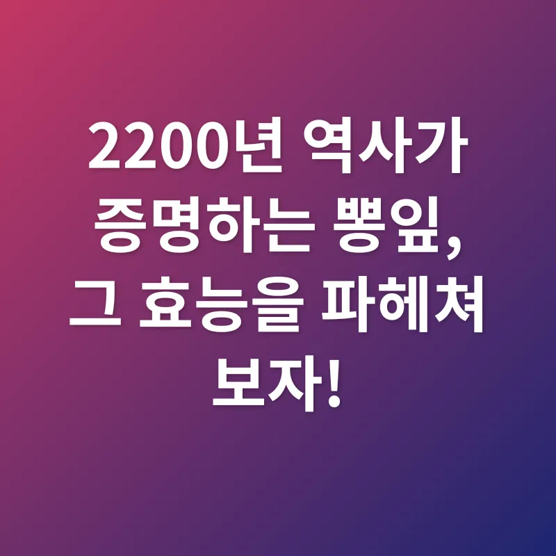 뽕잎 효능_2