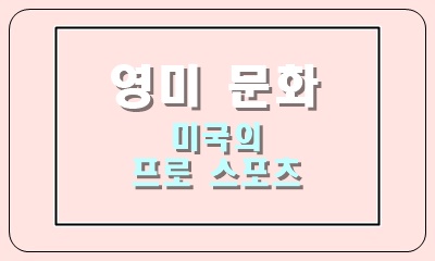  미국의 생활 스포츠와 프로 스포츠