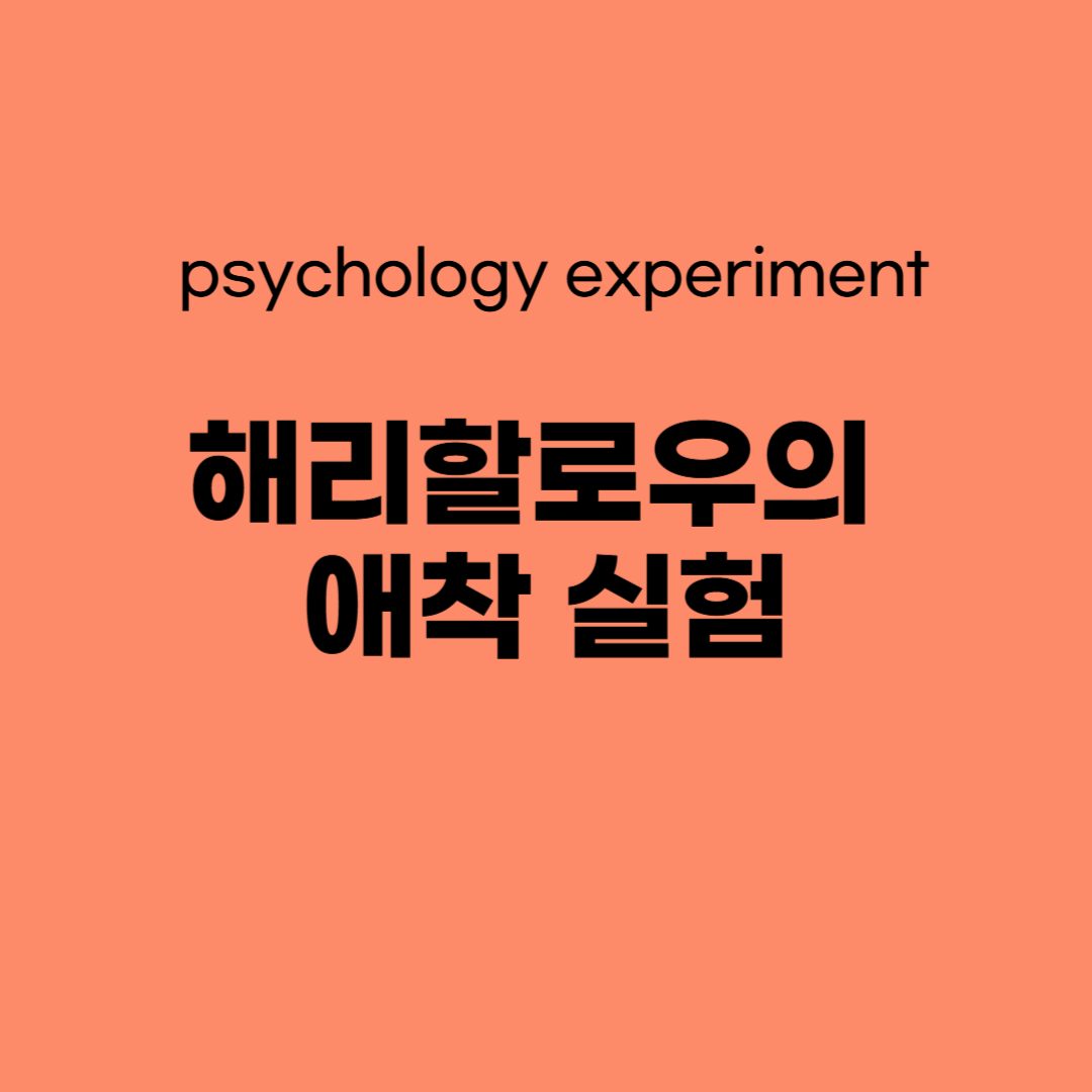“우유보다 포옹이 먼저였다?” – 해리 할로우 애착 실험이 밝혀낸 사랑의 본질