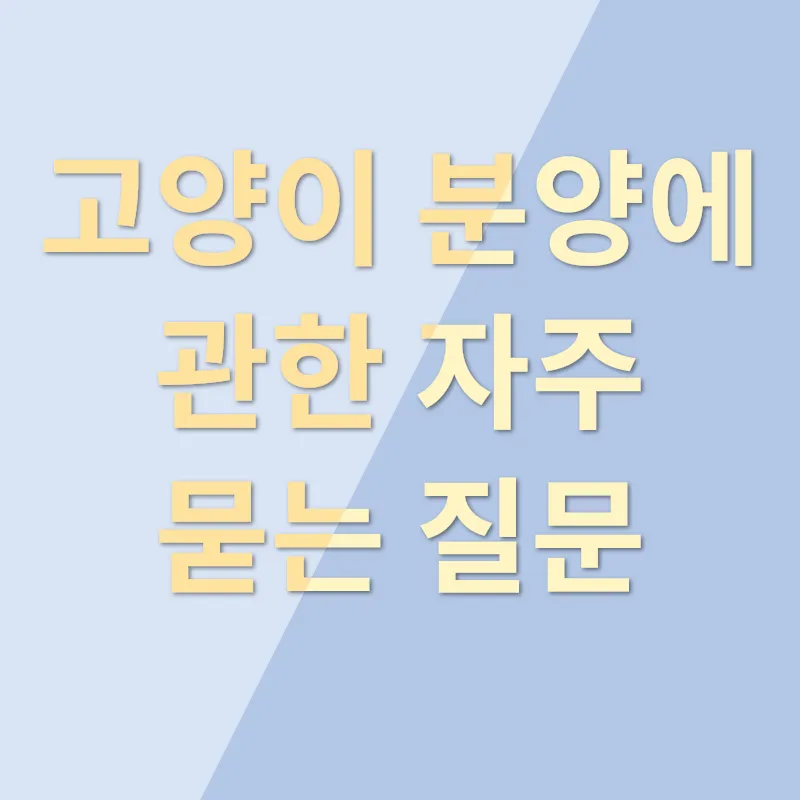 사랑하는 고양이 친구 선택 가이드_4