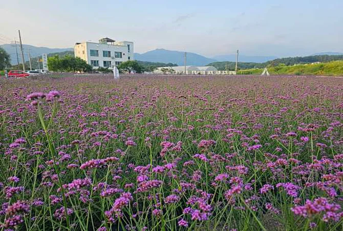 유기농카페