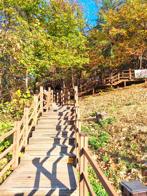 원주 소금산 그랜드밸리&amp;#44; 소금산 출렁다리&amp;#44; 소금산 울렁다리&amp;#44; 잔도길