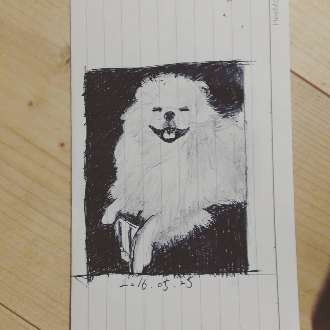  16.05.25.