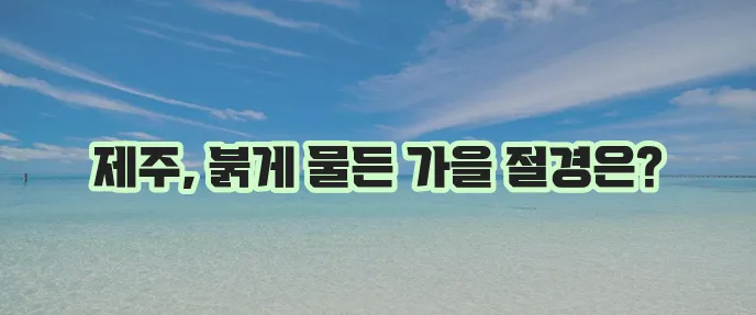 제주도 가을 단풍 여행지 10곳, 놓칠 수 없죠!