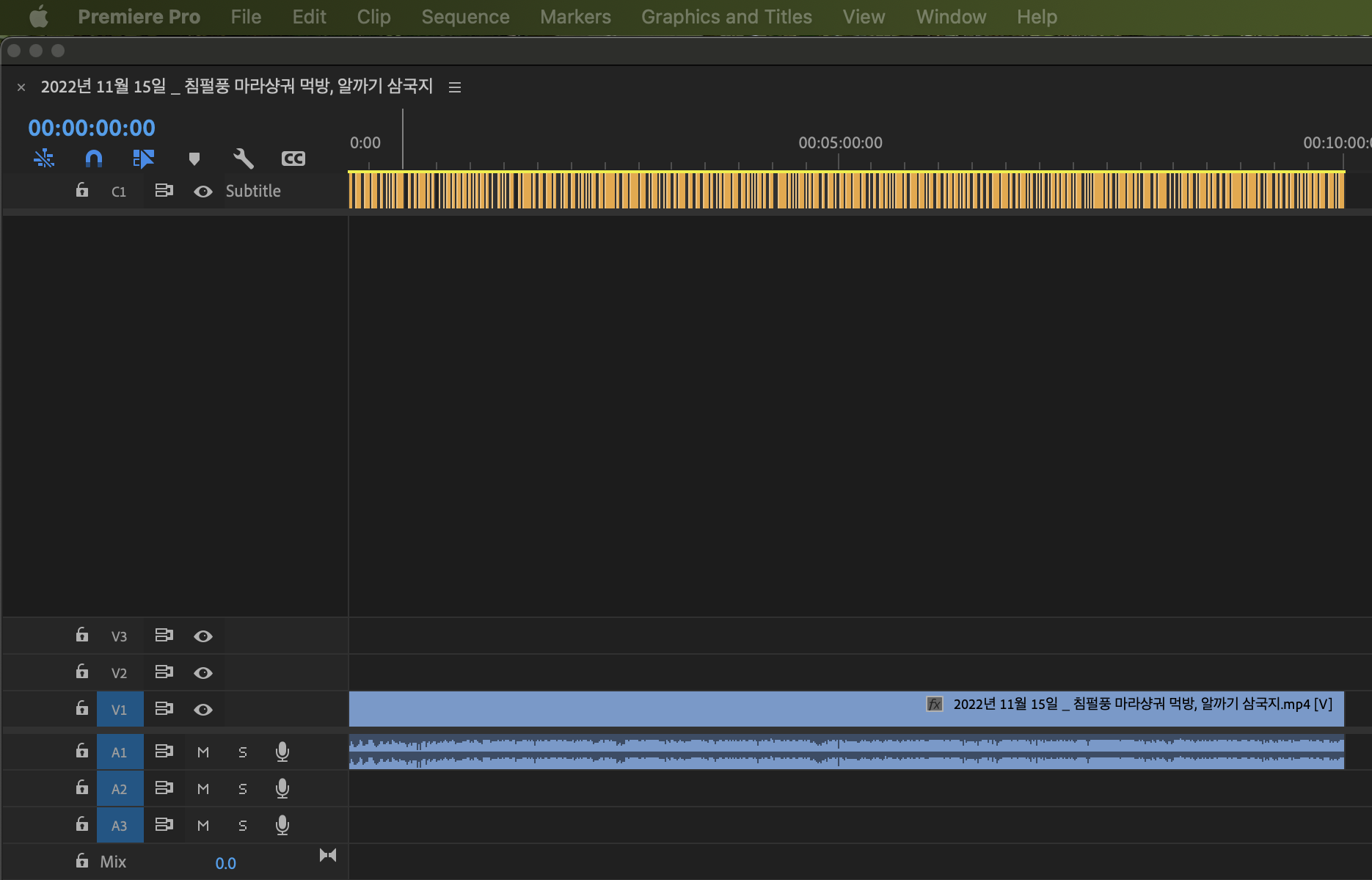 실제 자막 트랙이 생성된 모습