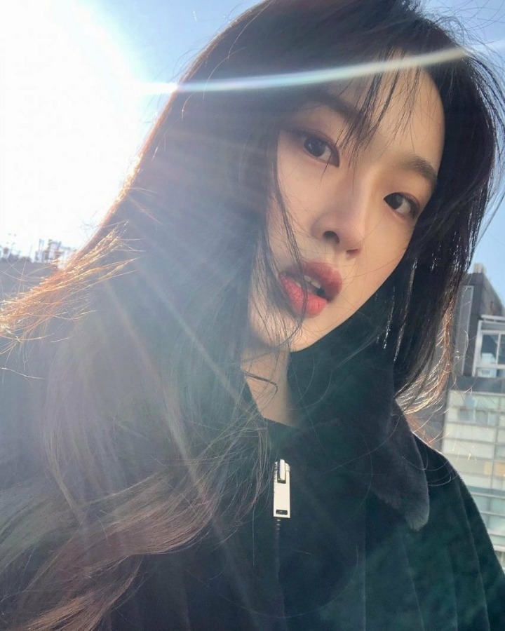 이진미디어 이미지