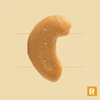 캐슈넛(Cashew nut)