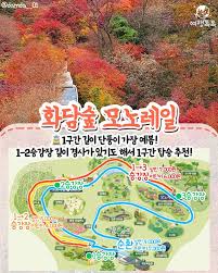 화담숲 온라인 예약&amp;#44; 운영시간&amp;#44; 산책코스