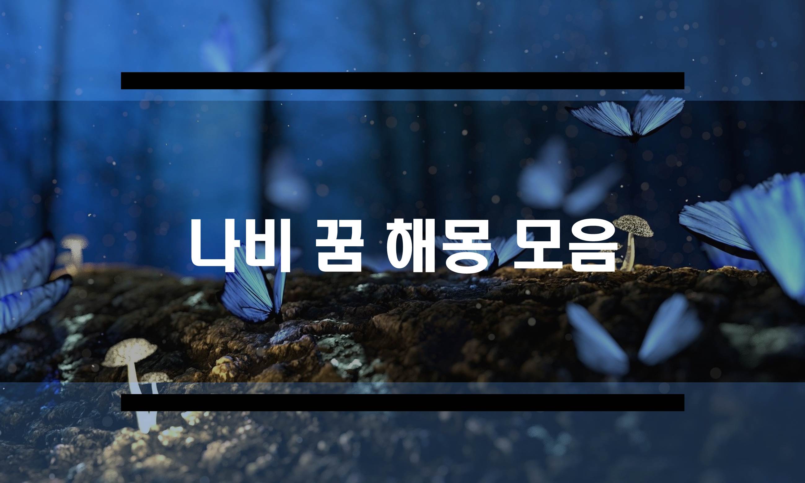  나비꿈 해몽 모음