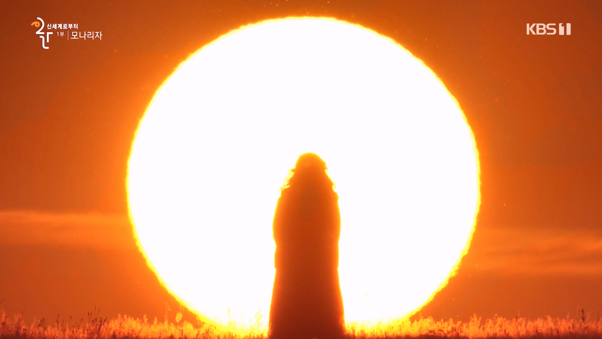 다큐 인사이트.E170.231109p.H264-F1RST.mp4_20231110_210617.402.jpg