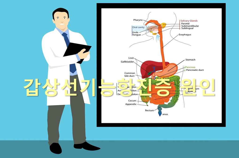  갑상선기능항진증 원인과 갑상선기능항진증 완치 가능성