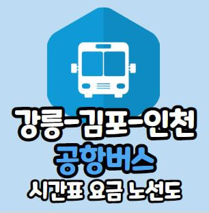 강릉 공항버스