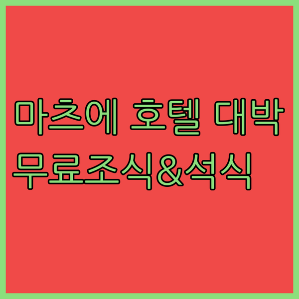 가성비 끝판왕 마츠에 호텔? 무료 조