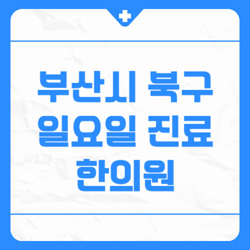 부산시 북구 일요일 진료 한의원